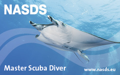cert-master-diver.jpg