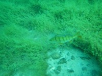 decoimage_19.jpg