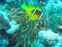 decoimage_38.jpg